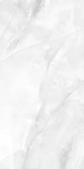Neodom Onyx Light Polished 60x120H0.9