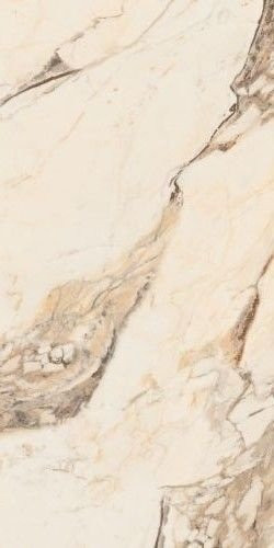 Neodom Splendida Calacatta Gold 60x120