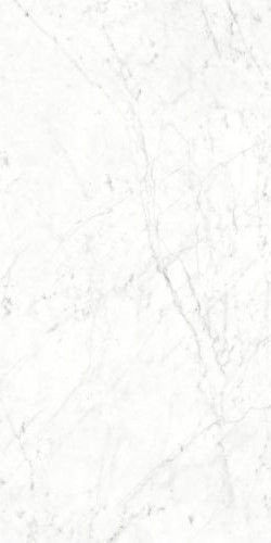 Neodom Splendida Carrara Bianco 60x120