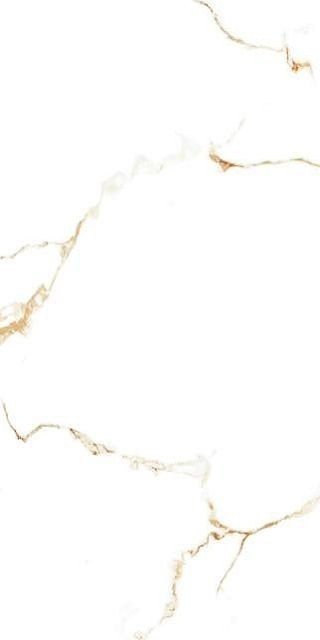 Neodom Golden Statuario Polished 60x120