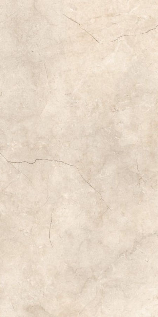 Neodom Splendida Fushion Beige Polished 60x120