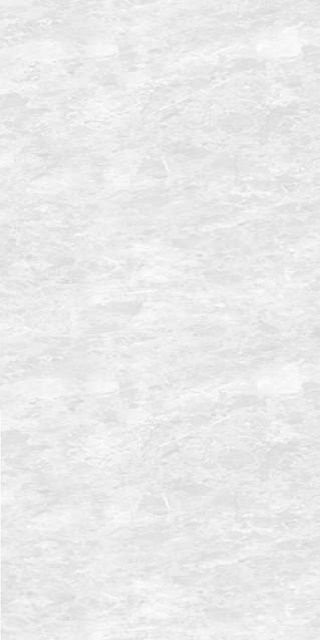 Neodom Arni Bianco Polished 60x120