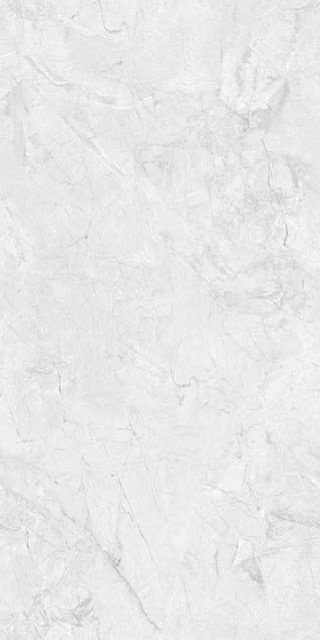 Neodom Leroy Silver Carving 60x120