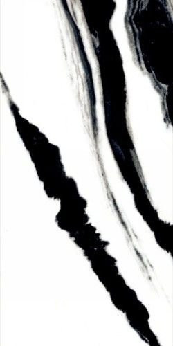 Neodom Splendida Panda White 60x120