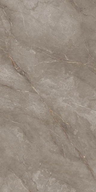 Neodom Supernova Orobico Brown Polished 80x160