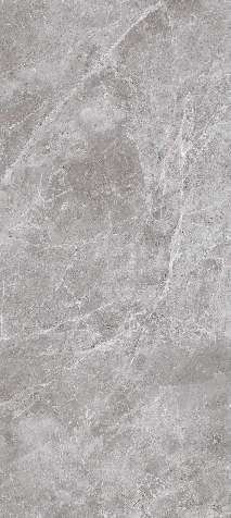 Neodom Titanium Belgium Grey 120x278