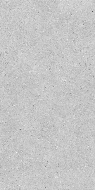 Neodom Stone Denver Grey Matt Str 60x120H0.9