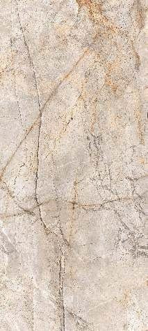 Neodom Titanium Silver River Classic 120x278