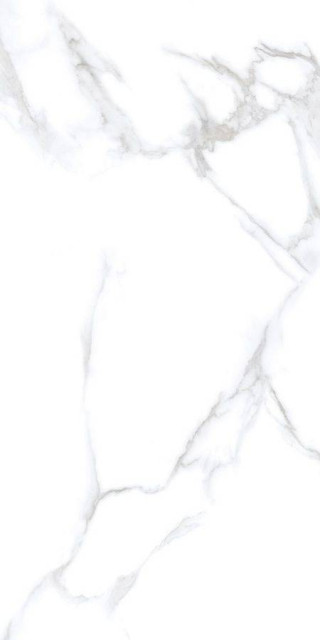 Neodom Unica Statuario Chic Polished 60x120