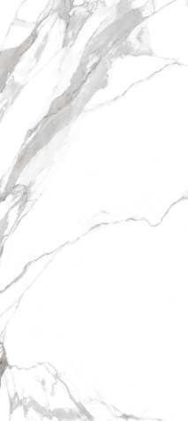 Neodom Titanium Statuario Amaze Matt 120x278