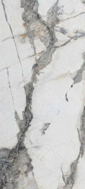 Neodom Titanium Renoir Polished 120x280