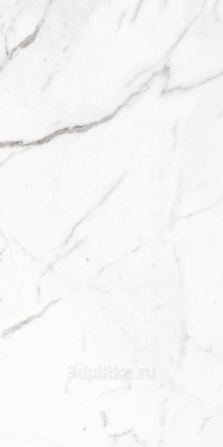Arabascato Bianco 80x160
