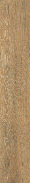 Ocean Ceramic Sweden Caramel Matt 20x120H0.9