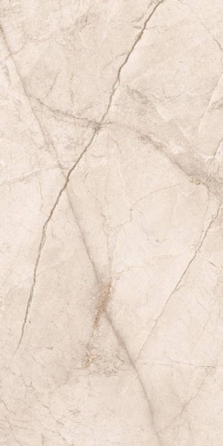 Silver Root Pearl 80x160