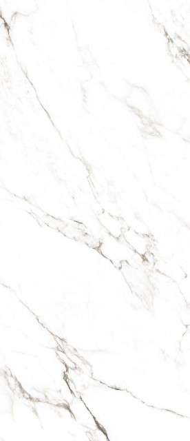 Ocean Ceramic Statuario Castork 120x278
