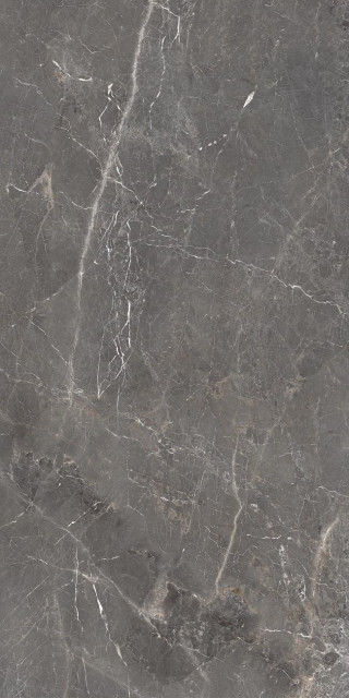Ocean Ceramic Tulip Grey Glossy 60x120