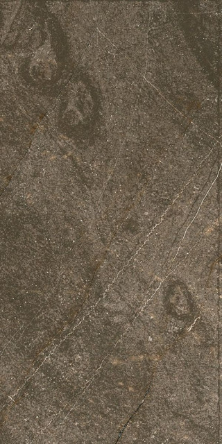 Ocean Ceramic Baron Brown Sugar 60x120