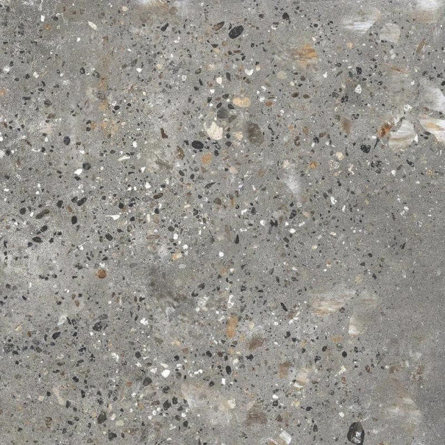 Staro Oasis Casa Mood Grey Polished 60x60