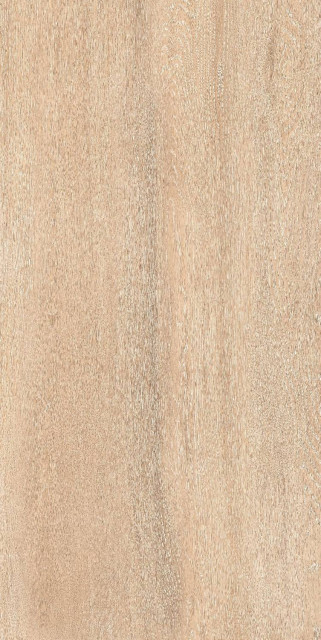 Staro Foresta Amazon Wood Beige Matt 60x120H0.8