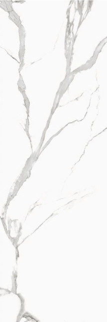 Staro Statuario Venato Matt 15 мм 240x80