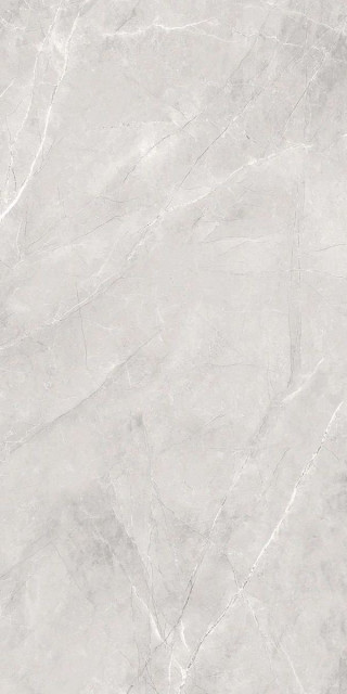 Staro Silk Armani Silver 60x120