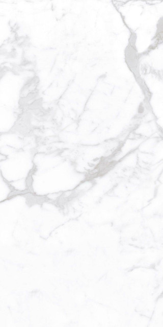 Staro Palacio Proven Polished 60x120