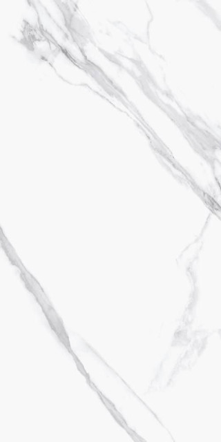 Staro Palacio Remix Statuario Polished 60x120