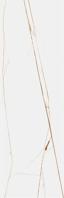 Staro Spider Brown 15мм Polished 80x240