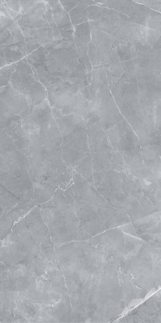 Staro Silk Gilio Matt 60x120