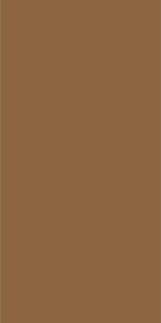 Staroslim Monocolors Elite Ocre Matt 5mm 60x120