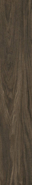 Starowood Forest Brown Matt 20x120