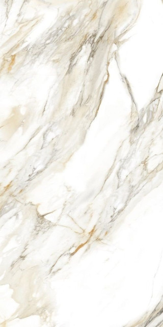 Velsaa Calacata Paonazzo Glossy 60x120H0.9