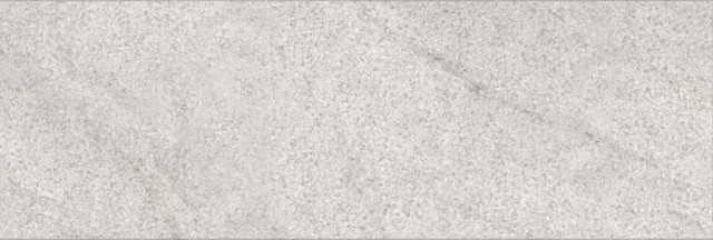 Alborz Ceramic Cheetah Pietra Dark Mat 30x90