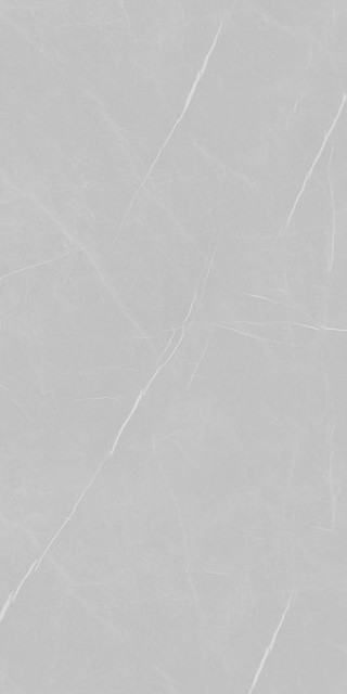 Eurotile Ceramica 502 Pietra Gray Pol 80x160