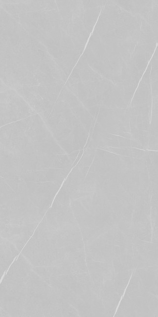 Eurotile 906 Pietra Gray 80х160