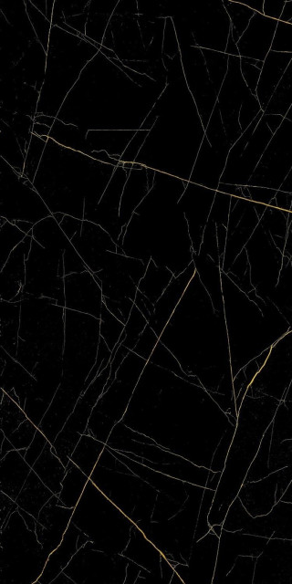 Eurotile 905 Golden Black 80х160