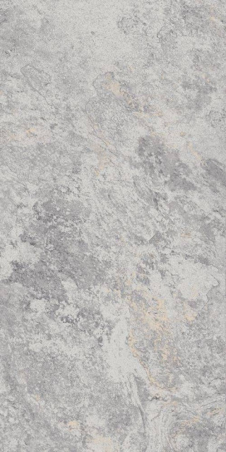 Eurotile Ceramica 795 Image Silver 60x120