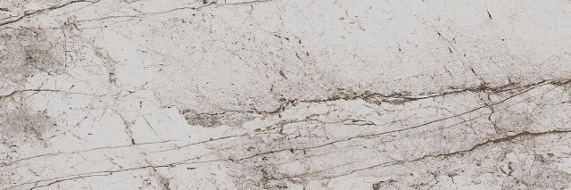 Eurotile Passion Light 29,5х89,5