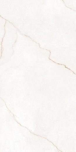 Pars Tile Delvin Mat 60x120