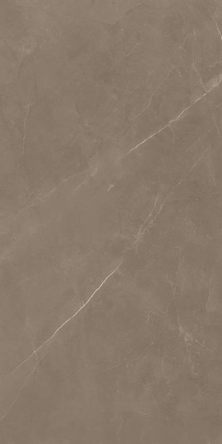 Marjan Tile Stone Pietra Active Gray 60x120