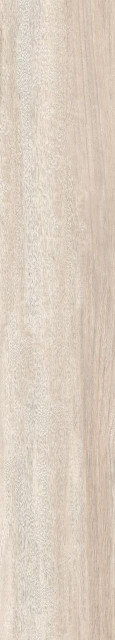 Absolut Keramika Trinidad R 20x114