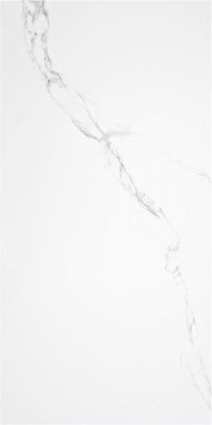 Alaplana Pune Blanco Mate 60х120