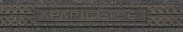 Aparici Norway Steel Oxidum Cenefa A 4,5х25,3
