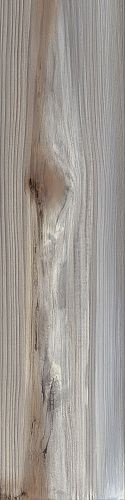 Apavisa 4ever Echo Ash Natural Nonslip 25x100