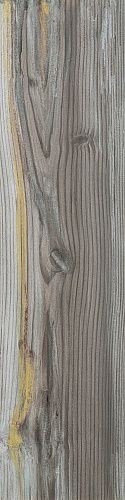 Apavisa 4ever Echo Gold Natural 25x100