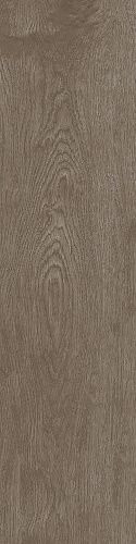 Apavisa 4ever Arco Brown Natural 25x100