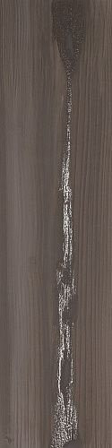 Apavisa 4ever Echo Silver Natural 25x100