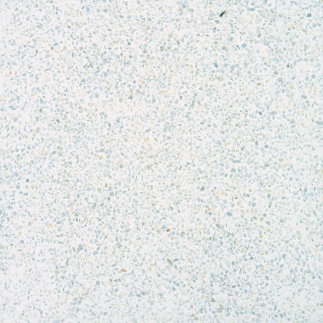 Apavisa Terrazzo White Natural 29,75x29,75