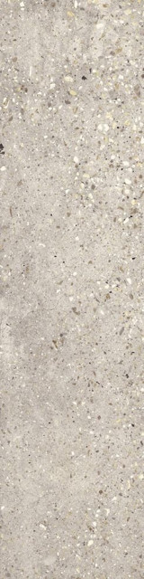 Apavisa Wind Ivory Natural 24,75x99,55