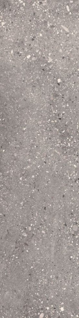 Apavisa Wind Grey Natural 24,75x99,55